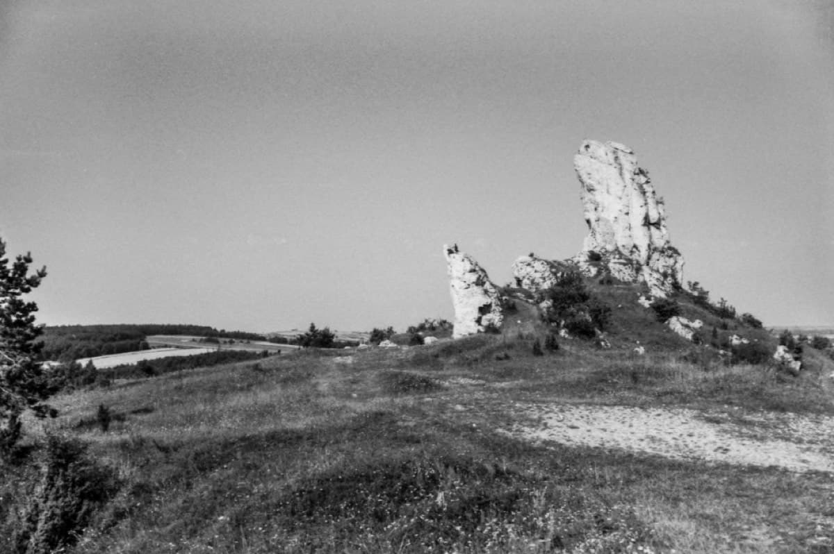 Grupa wapiennych ostańców na trawiastym wzgórzu, w tle pola i las